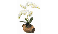 Samolepka Orchidej v květináči SM 3430